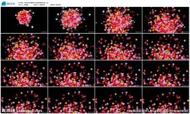 多色玫瑰爆炸花背景透明通道可换