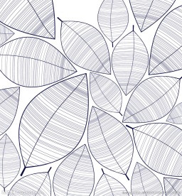 矢量线描叶子 分层