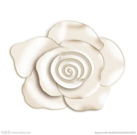 玫瑰花 素材 源分层