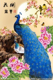 花鸟画