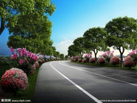 高速公路绿化