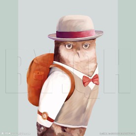 分层可换背景手绘插画动物猫头鹰