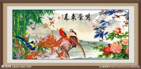 牡丹花