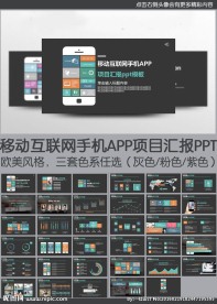 移动互联网app项目汇报ppt