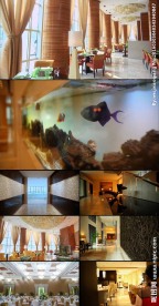 高级酒店餐厅内景鱼缸视频