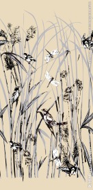 杜嘉班纳时尚男装印花图案（矢量