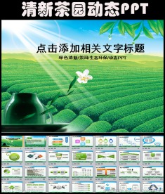 清新绿色自然生态环保茶园PPT