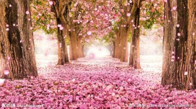 春色LED动态视频