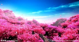 LED桃花园动态视频