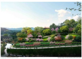 休闲山庄坡上绿化