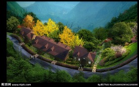 山上绿化鸟瞰图