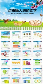 绿色生态养殖鸡蛋加工养鸡PPT