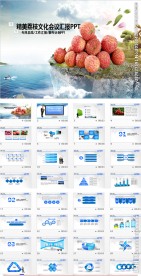 精美时尚荔枝PPT动态模板