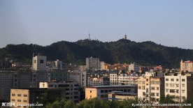 城市 塔 鸽子 走动的影子