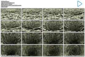 美元漩涡金融危机