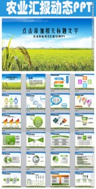 绿色农业部门农业项目汇报PPT