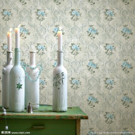 墙纸效果图