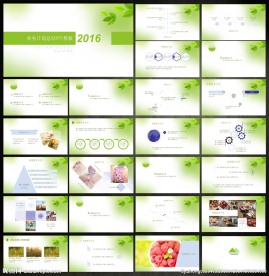 商务计划总结PPT模板