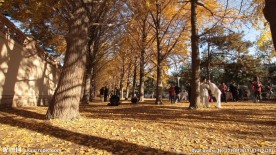 北京城市延时摄影高清实拍素材