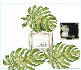 树叶香水瓶品牌包包