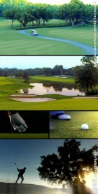 打高尔夫球实拍视频素材