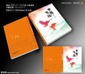 梦想书籍封面设计