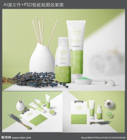 SPA化妆包装（平面图+效果）
