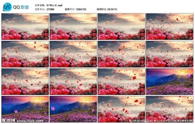 映山红花花朵飞舞歌舞背景LED