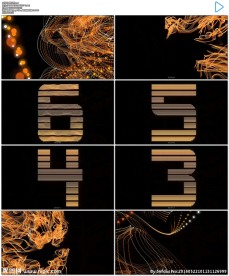 金色绚丽倒计时