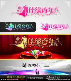 佳缘百年 婚庆字体设计