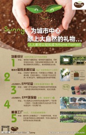 盆栽产品海报