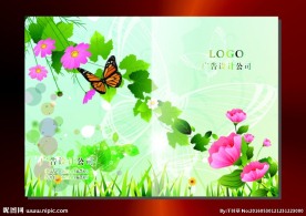 花粉叶绿 封面设计