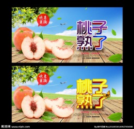 桃子熟了