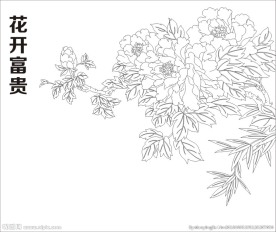 花开富贵 牡丹花