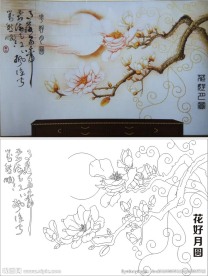 花好月圆 玉兰花 月亮