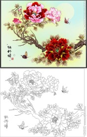 牡丹颂 蝴蝶 牡丹花