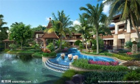 东南亚植物后期素材