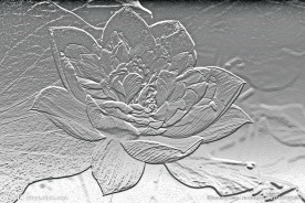 荷花浮雕