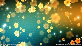 金色小花循环素材