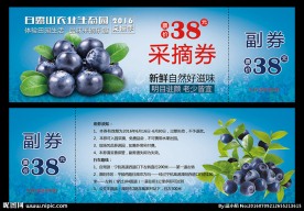 蓝莓采摘券