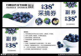 蓝莓采摘券