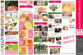 阳山水蜜桃绿色农家水果详情页