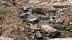 溪流  溪水 河流