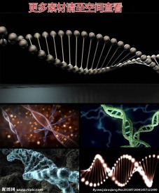 基因DNA螺旋体高清视频素材