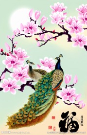 玉兰花