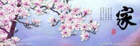 玉兰花