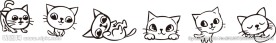 猫咪3