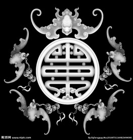 蝙蝠灰度图
