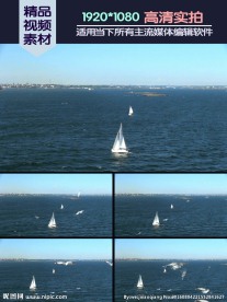 海洋帆船海鸥