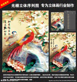 鸟光栅立体序列图